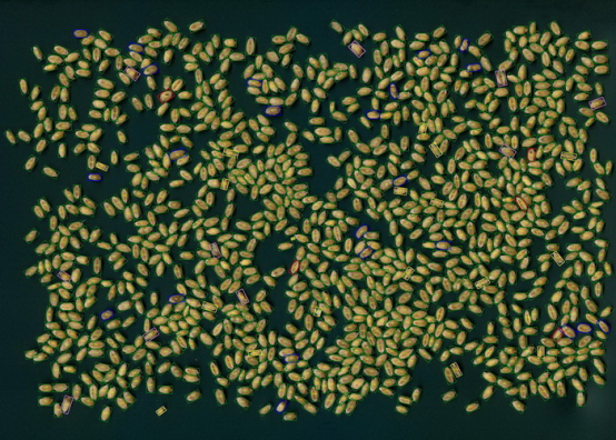 С^Ʒ|(zh)Ǚzy(c)xSC-X